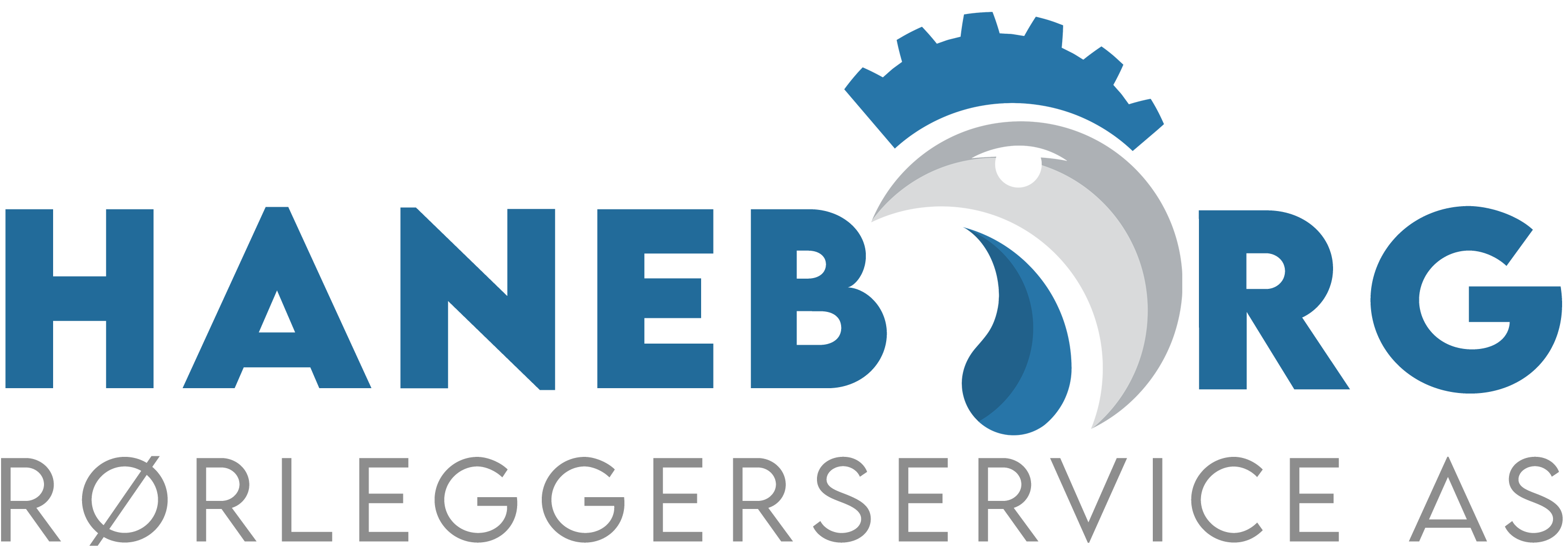 HANEBORG RØRLEGGERSERVICE AS